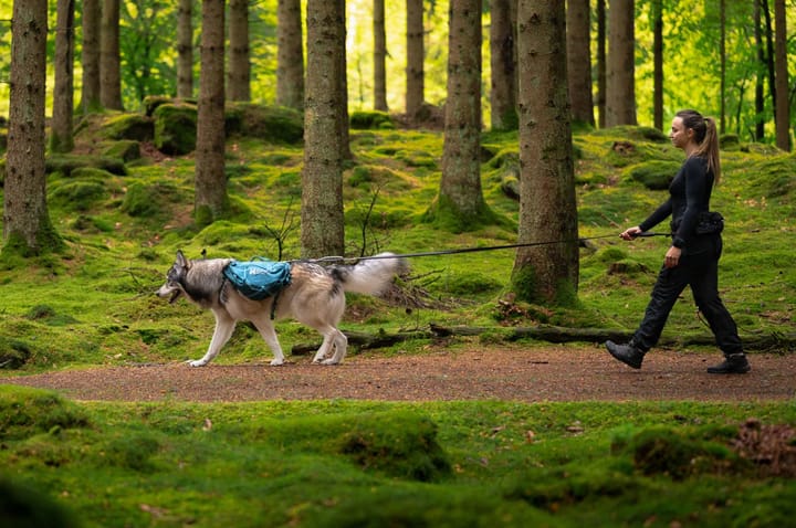 Non-stop Dogwear Trail Quest Dog Backpack Blue Non-stop Dogwear