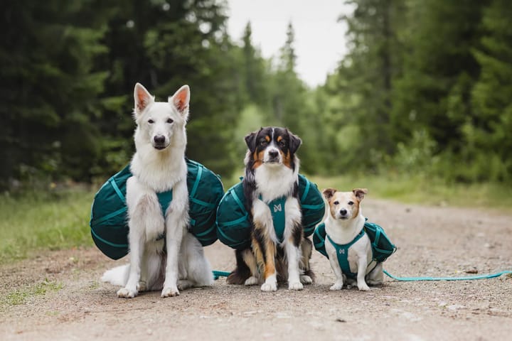 Non-stop Dogwear Trail Quest Dog Backpack Blue Non-stop Dogwear