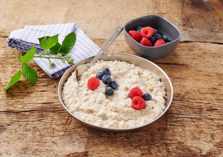 Trek'n Eat Oat Meal Bowl Oat Meal Bowl Trek'n Eat