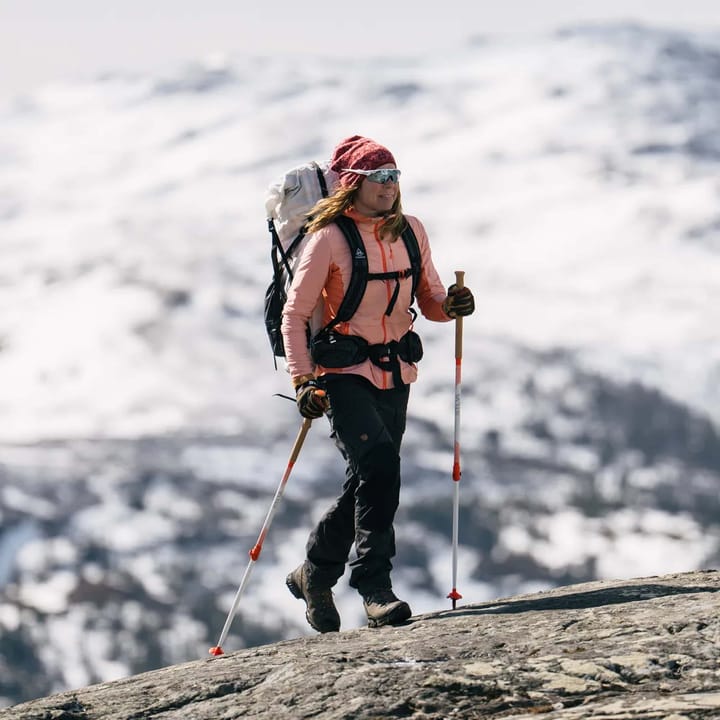 Silva Trekking Poles All Season Alpine Alu Tele NoColor Silva