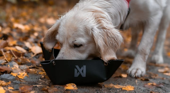Non-stop Dogwear Trekking Bowl Non-stop Dogwear Non-stop Dogwear Trekking Bowl Non-stop Dogwear
