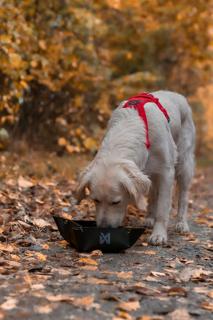 Non-stop Dogwear Trekking Bowl S Black Non-stop Dogwear
