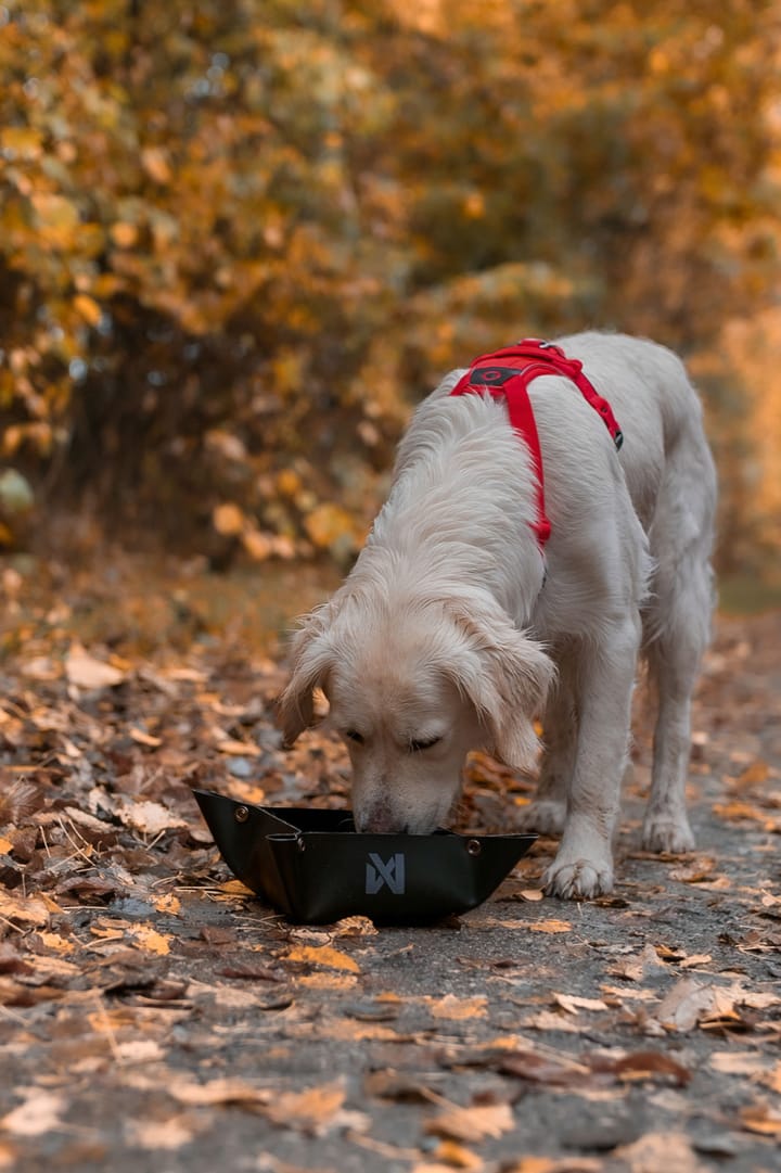 Non-stop Dogwear Trekking Bowl Non-stop Dogwear Non-stop Dogwear Trekking Bowl Non-stop Dogwear