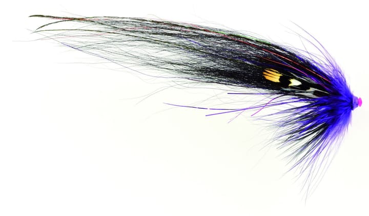 Frodin Flies Ttt Nobody Series Mikkeli Frodin Flies