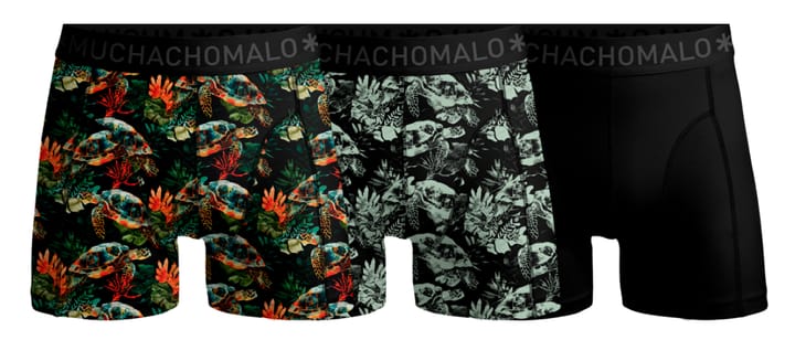 Muchachomalo Turtle 01 3pk Boxer Print/print/solid Muchachomalo