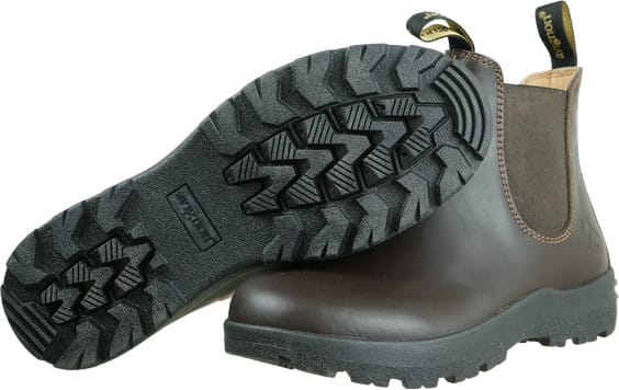 Avignon Unisex Darwin Jodhpurs Leather Dark Brown Avignon