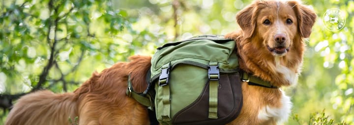 Seleverkstedet Togo hundekløv Grønn/brun M Seleverkstedet Seleverkstedet Togo hundekløv Grønn/brun M Seleverkstedet