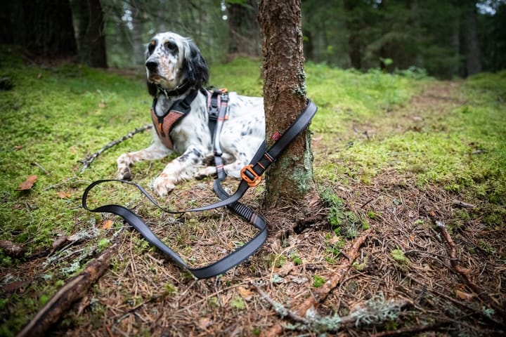 Non-Stop Dogwear Touring Bungee Adjustable Grey Non-stop Dogwear