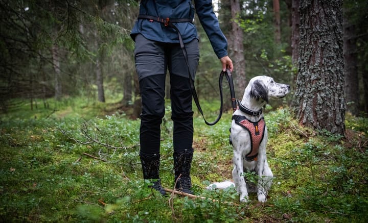 Non-Stop Dogwear Touring Bungee Adjustable Grey Non-stop Dogwear