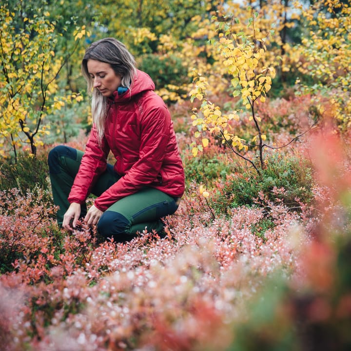 Davik Padded Jacket Women's Rio Red Urberg