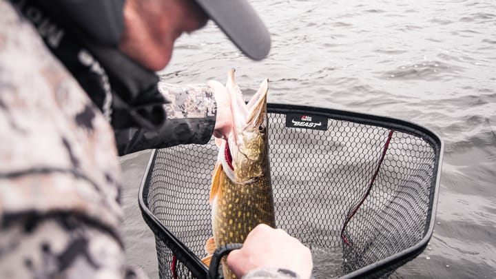 Abu Garcia Beast Net 80x70 Cm Abu Garcia