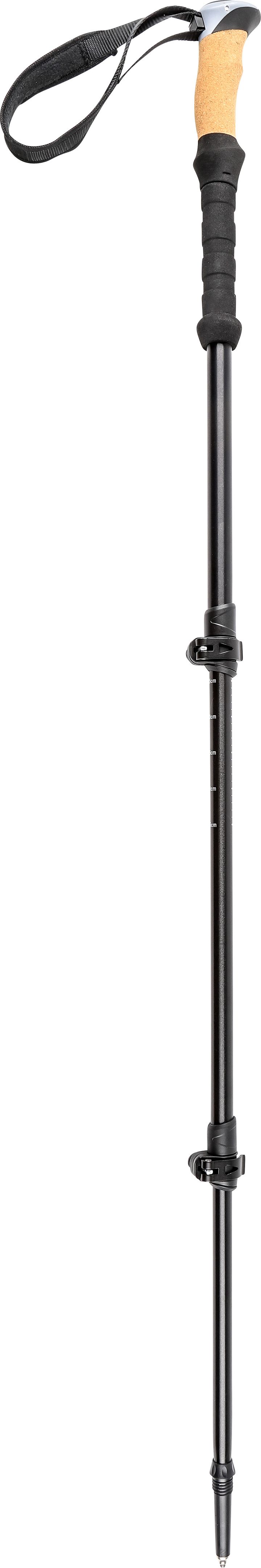 Pool 12 Speedstick Wading Pole Black Pool 12