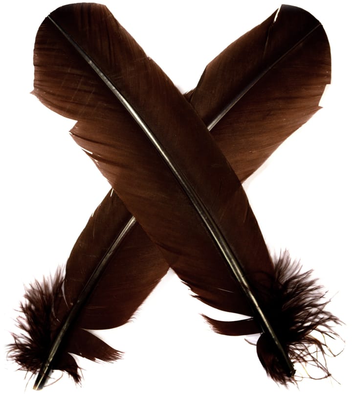 Veniard Turkey Broad Wing Quill Dyed Veniard