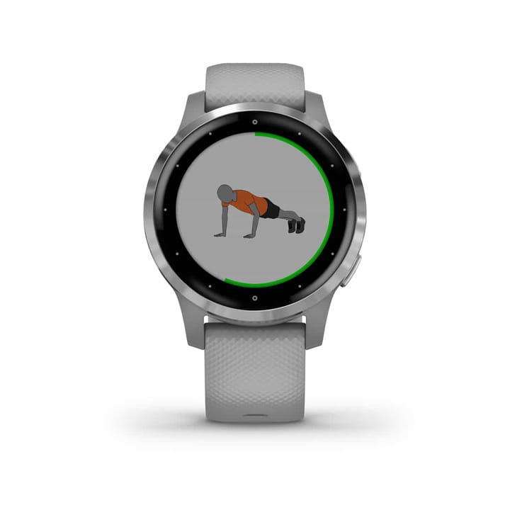 Garmin Vivoactive 4s Grey/Silver Garmin