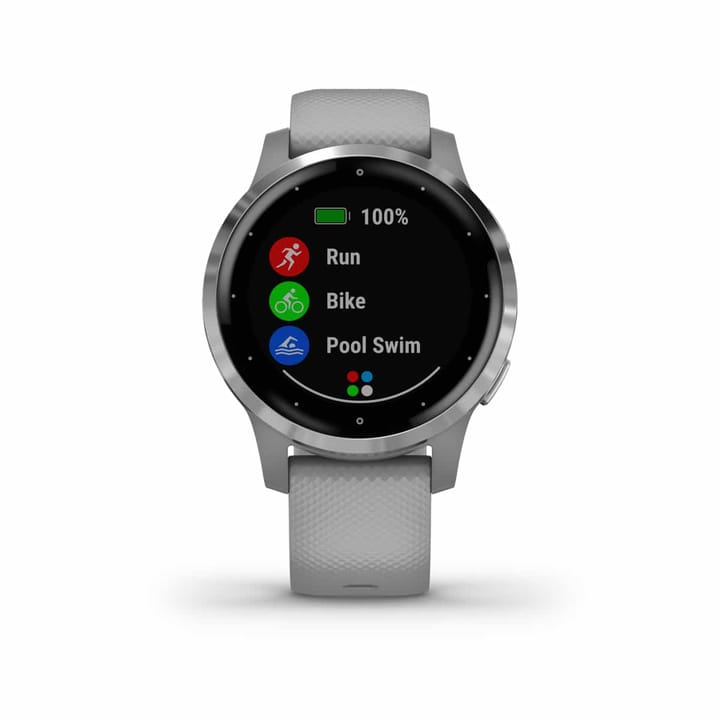 Garmin Vivoactive 4s Grey/Silver Garmin
