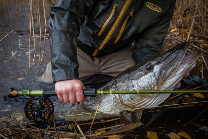 Vision Vision Pike Outfit 9' # 9 Komplett Fluesett Vision Vision Vision Pike Outfit 9' # 9 Komplett Fluesett Vision