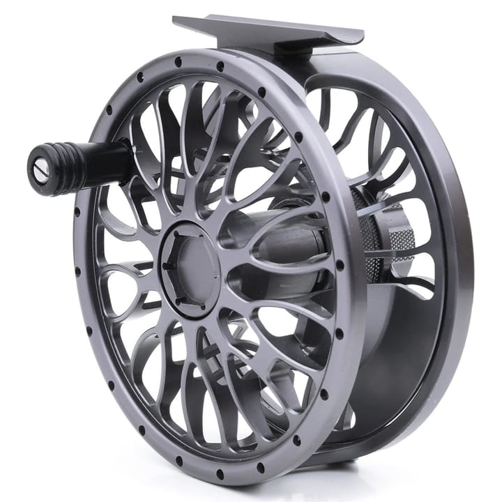 Vision Xo Reel Vision