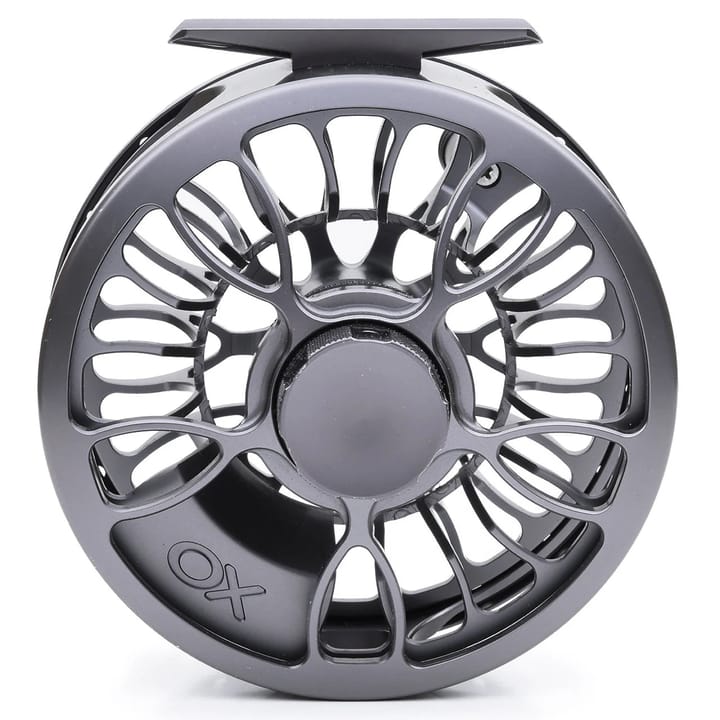 Vision Xo Reel Vision