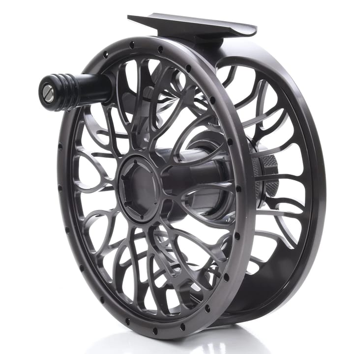 Vision Xo Reel Vision