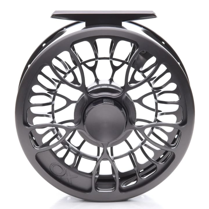 Vision Xo Reel Vision