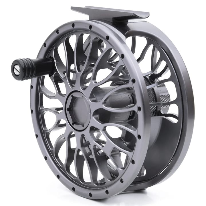 Vision Xo Reel Vision