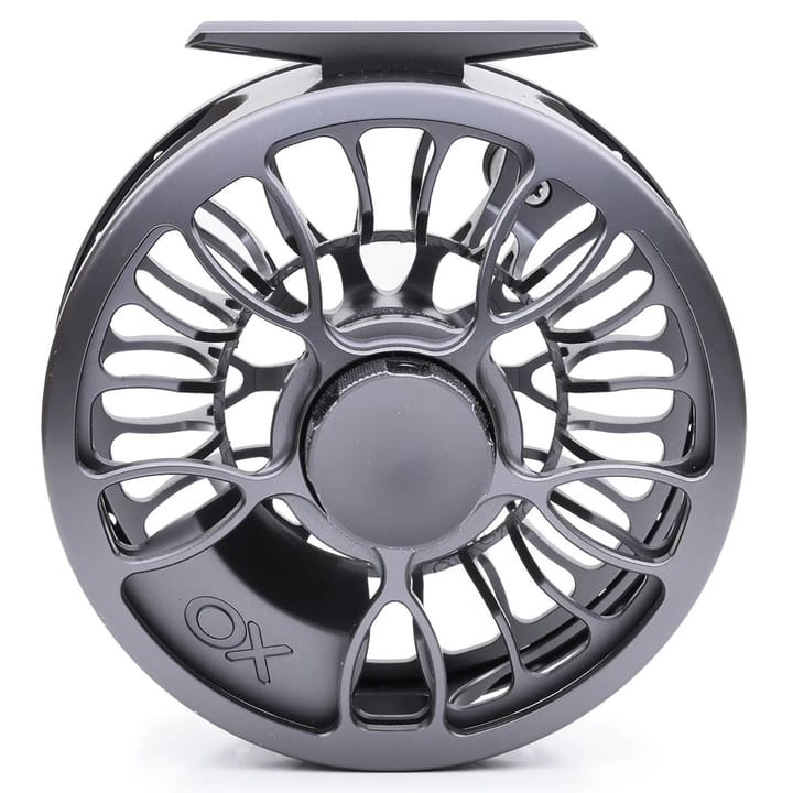 Vision Xo Reel Vision