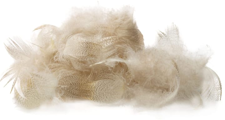 Wapsi Wapsi Mallard Drake Belly Andefjær Til Fluebinding Wapsi