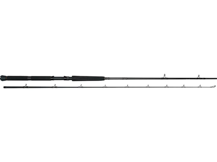 Westin W3 Predator Trolling 2nd 8'6'' Westin