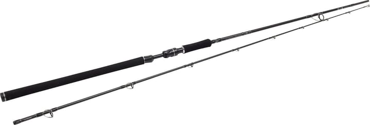 Westin W3 Powercast 3rd Westin