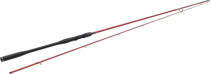 Westin W6 Spin 2nd Westin