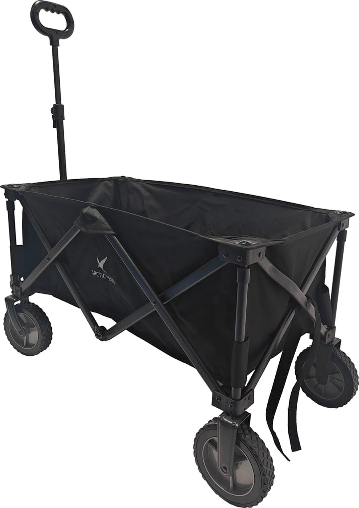 Arctic Tern Wagon Black Arctic Tern