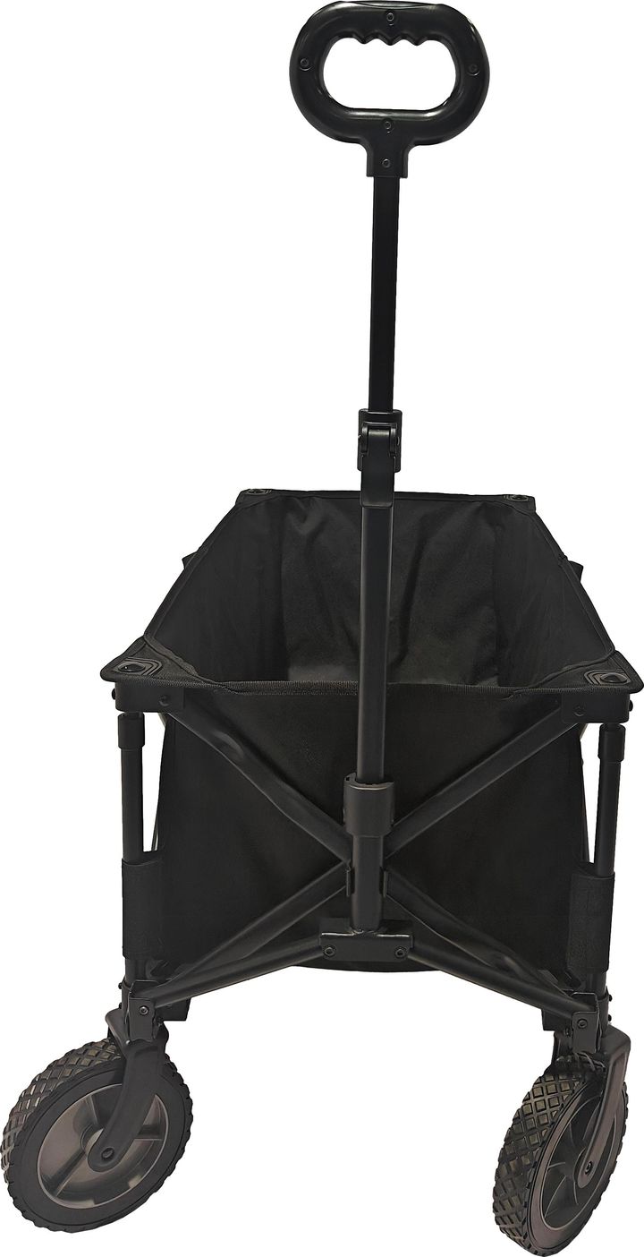 Arctic Tern Wagon Black Arctic Tern