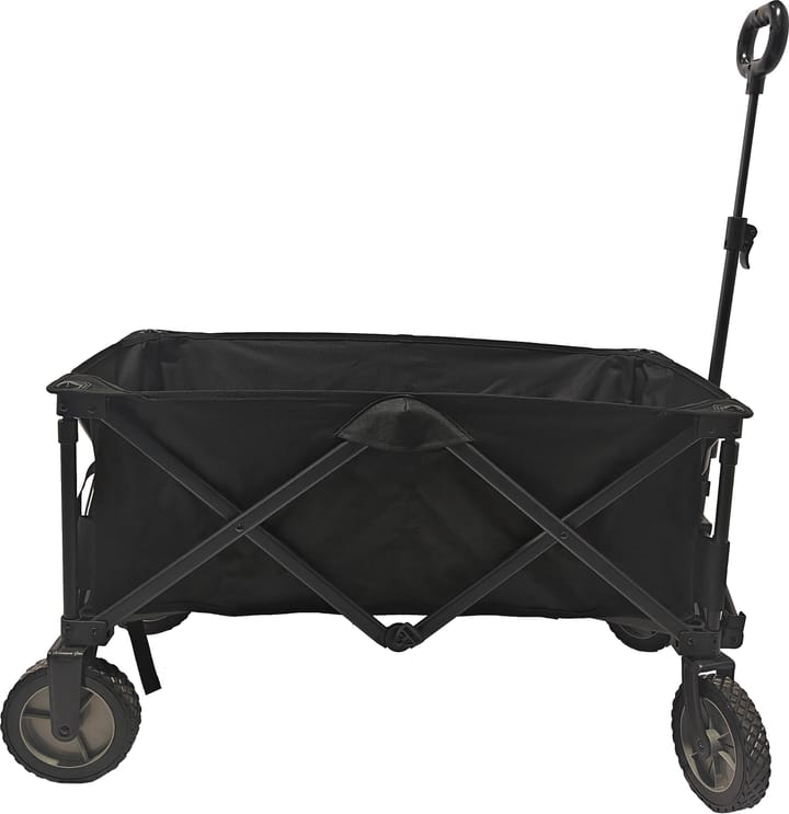 Arctic Tern Wagon Black Arctic Tern