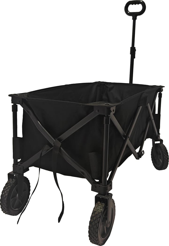 Arctic Tern Wagon Black Arctic Tern