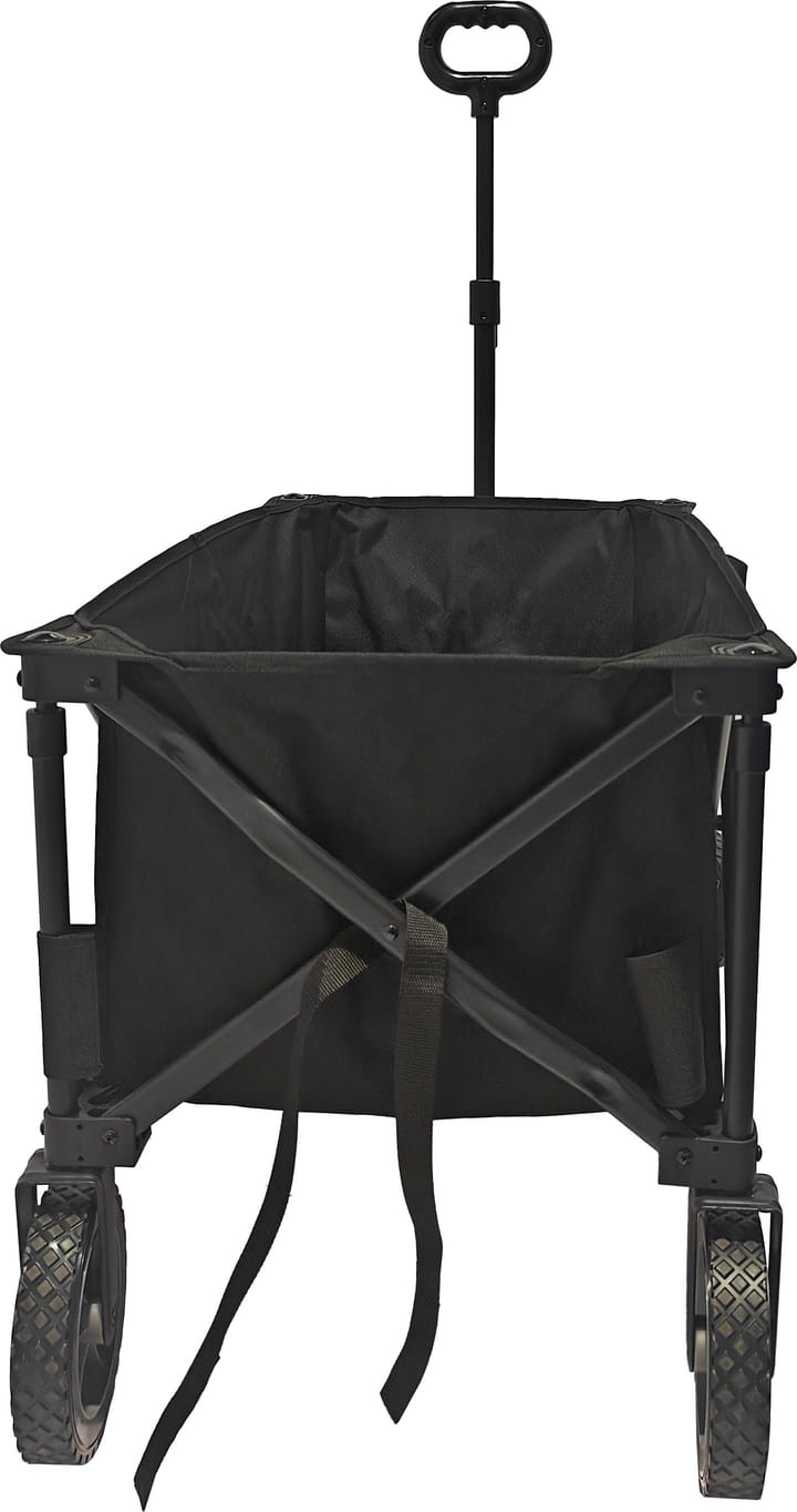 Arctic Tern Wagon Black Arctic Tern