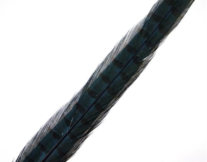 Wapsi Pheseant Rooster Middle Tail Wapsi