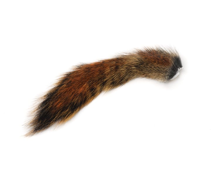 Wapsi Wapsi Squirrel Tail Natural Pine Ekornhale Til Fluebinding Wapsi Wapsi Wapsi Squirrel Tail Natural Pine Ekornhale Til Fluebinding Wapsi