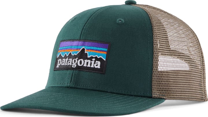 Patagonia P-6 Logo Trucker Hat Cascade Green Patagonia