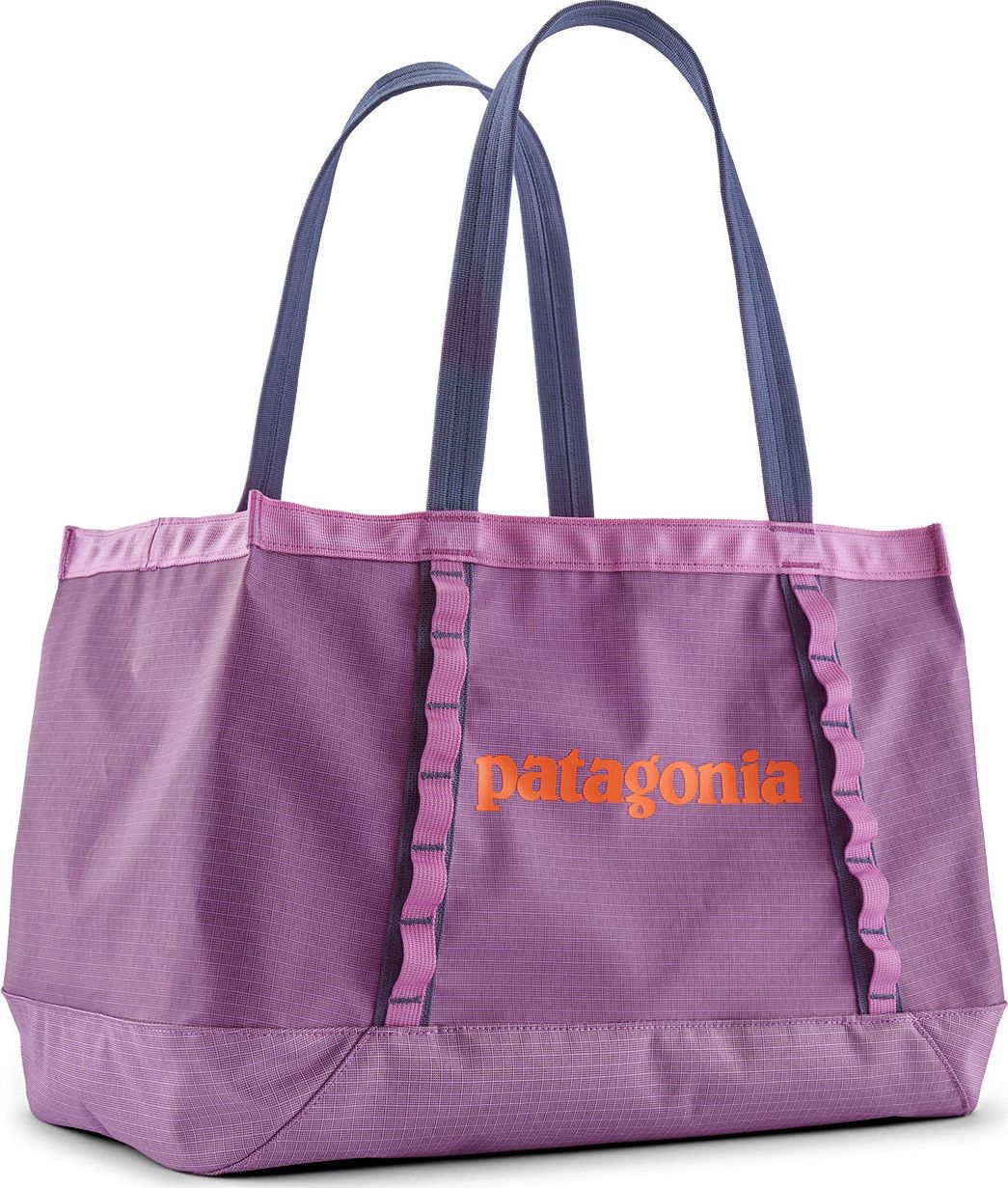 Patagonia Black Hole Tote 25L Brisk Purple