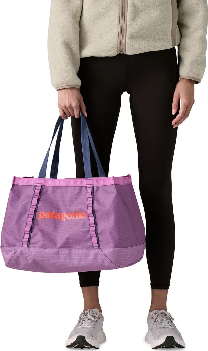 Patagonia Black Hole Tote 25L Brisk Purple Patagonia