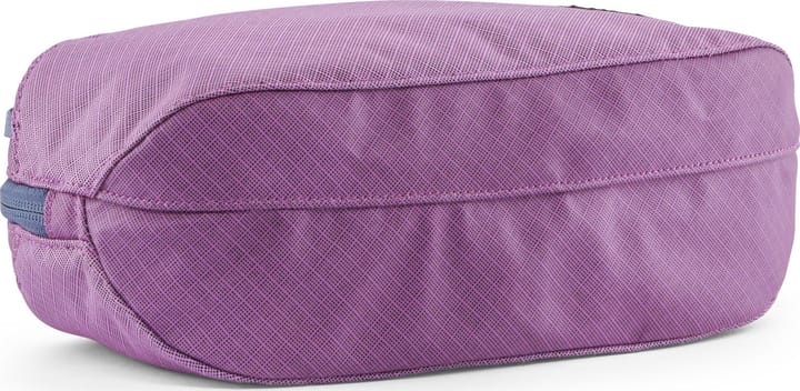 Patagonia Black Hole Cube 3L Brisk Purple Patagonia Patagonia Black Hole Cube 3L Brisk Purple Patagonia