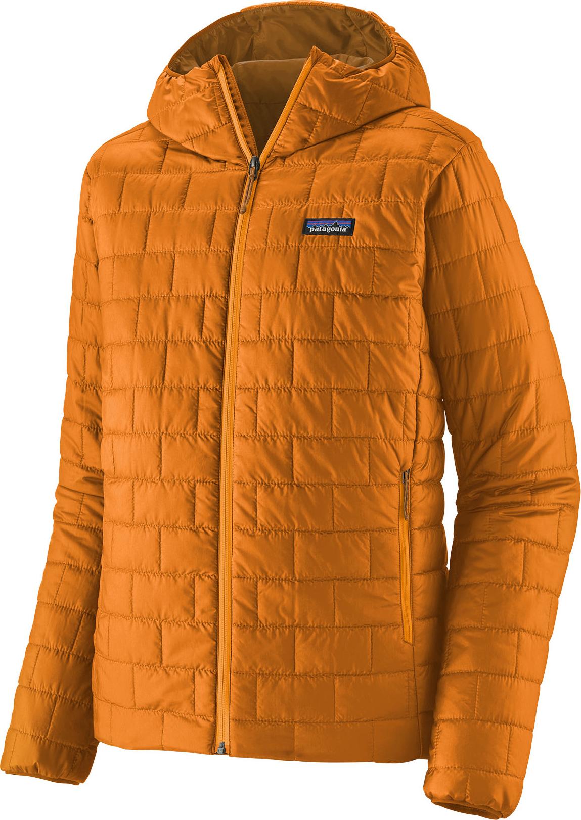 Autumn orange 1