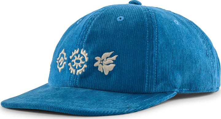 Patagonia Men's Corduroy Cap Kaleido Flowers: Shore Blue Patagonia