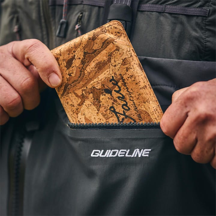 Guideline Guideline