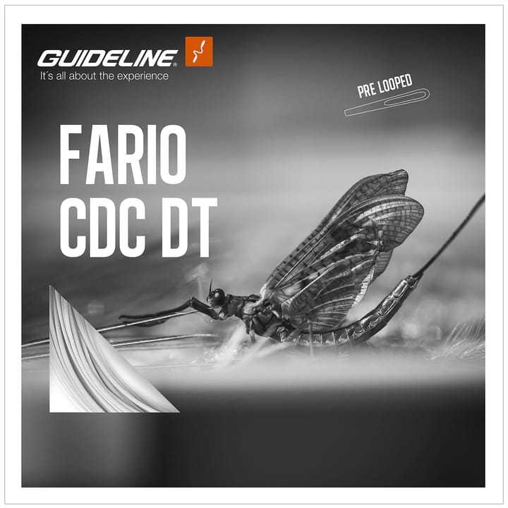Guideline Guideline Fario Cdc Dt Guideline