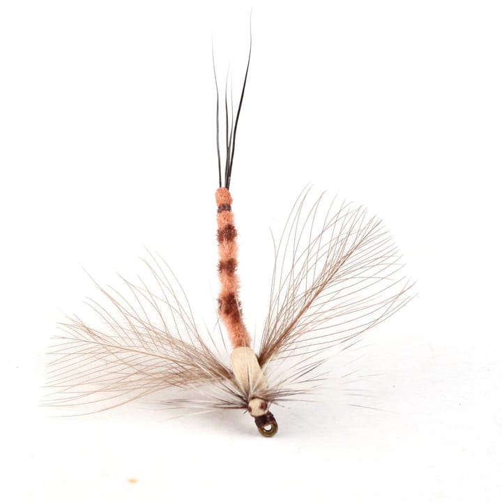 Guideline Guideline Gl Danica Spent Spinner #10 Kjøp 12 Fluer Få Gratis Flueboks Guideline Guideline Guideline Gl Danica Spent Spinner #10 Kjøp 12 Fluer Få Gratis Flueboks Guideline