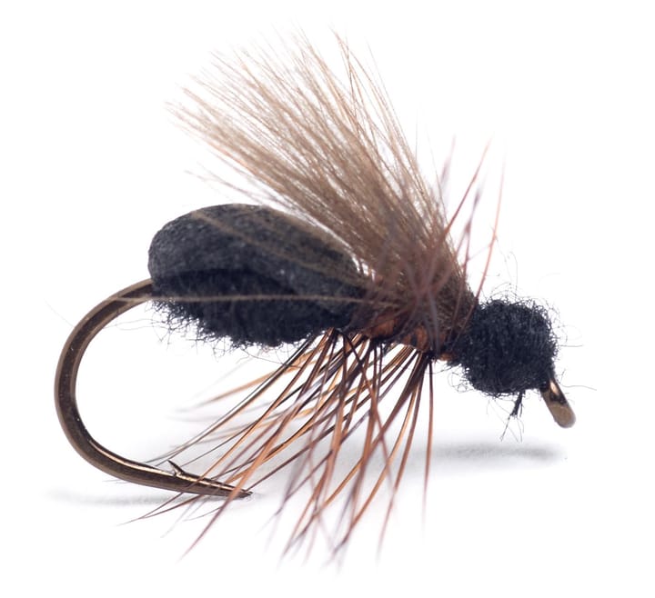 Guideline Guideline Rufa Flying Ant Guideline Guideline Guideline Rufa Flying Ant Guideline