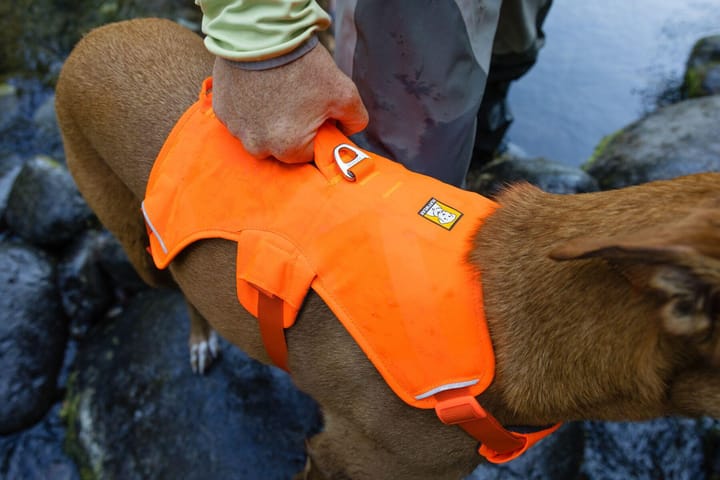 Ruffwear Web Master Dog Harness with Handle Blaze Orange Ruffwear