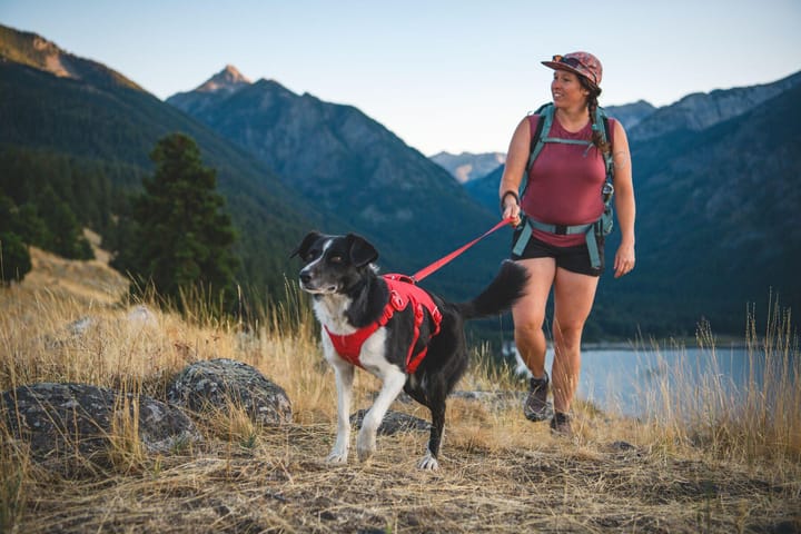 Ruffwear Web Master Dog Harness with Handle Red Canyon Ruffwear