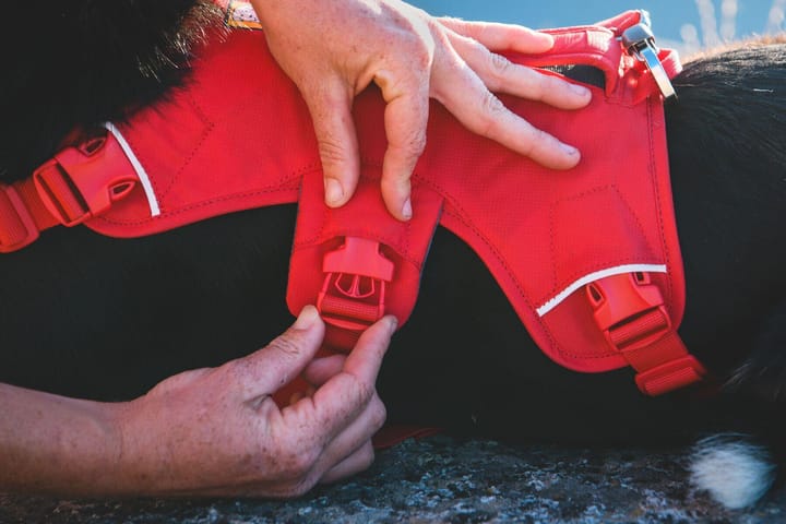 Ruffwear Web Master Dog Harness with Handle Red Canyon Ruffwear